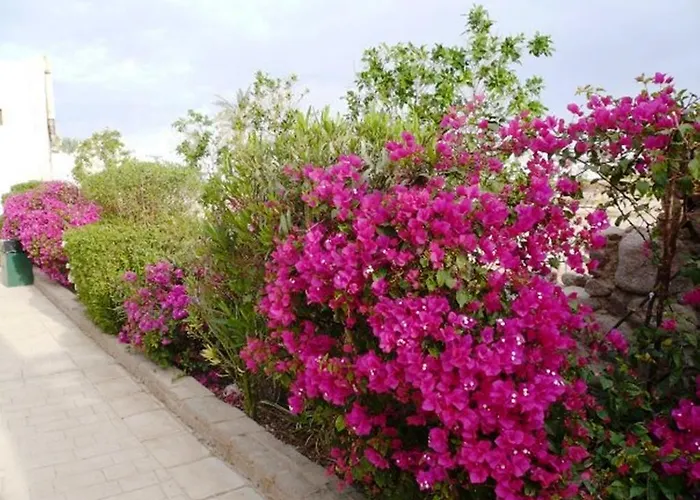 Apartmanhotel Logaina Sarm es-Sejk